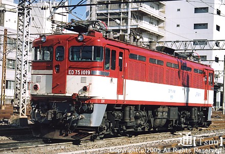 ED75 1019