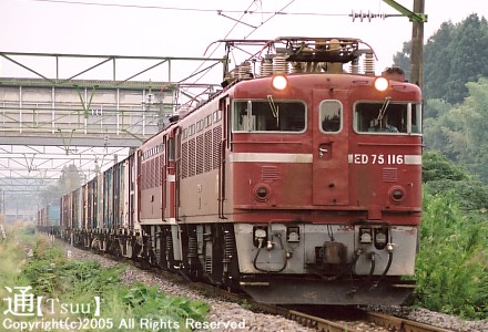 ED75 116