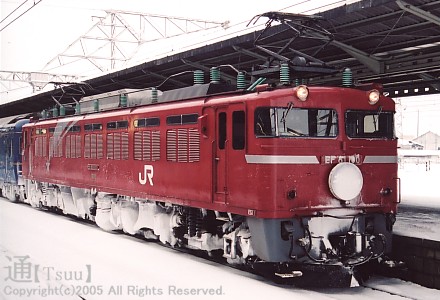 EF81 100